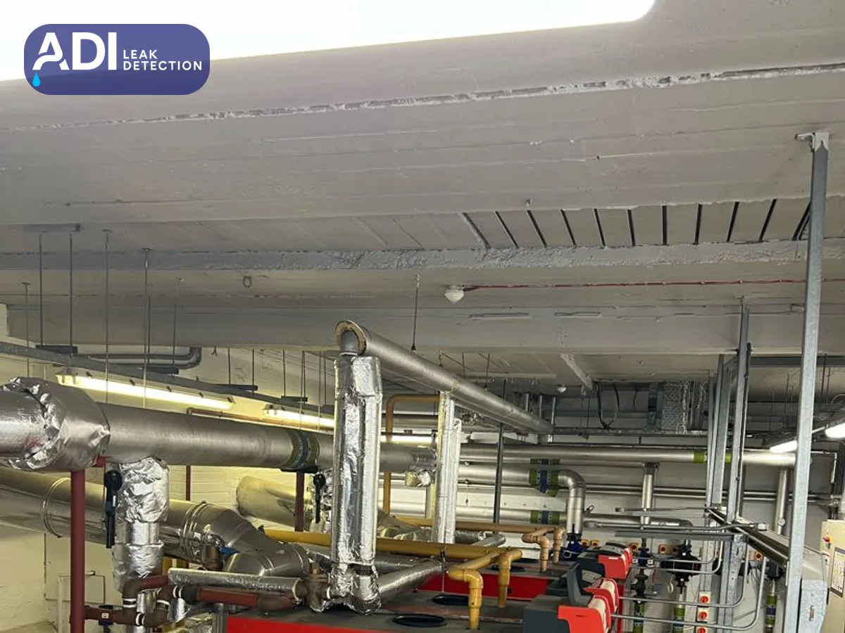 Boiler room with lagged pipework overhead and red boilers below